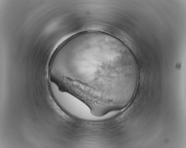 X0000091541036200709141452