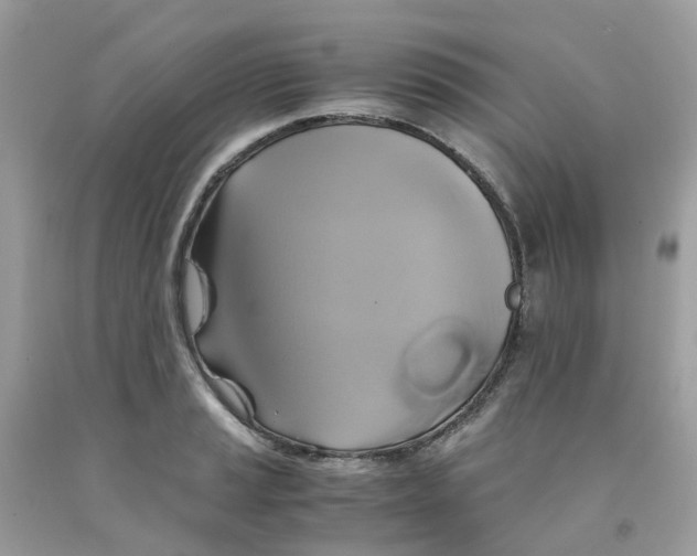 X0000091541037200709141452