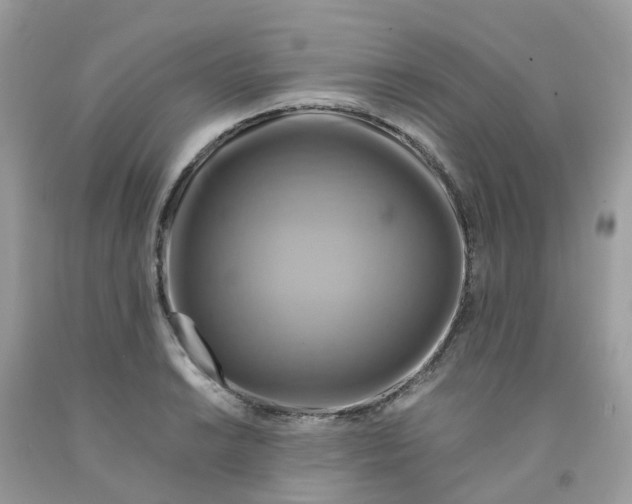 X0000091541038200709141452