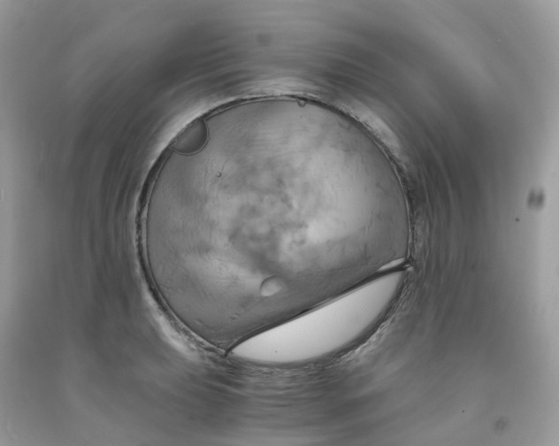 X0000091541039200709141452