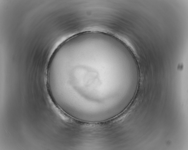 X0000091541040200709141452