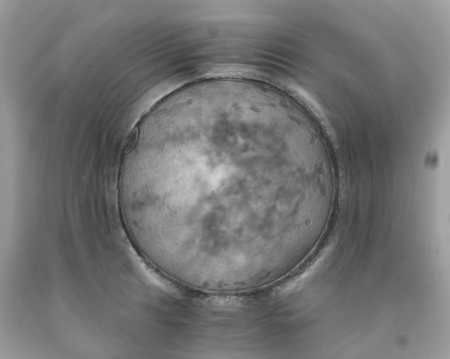 X0000091541041200709141452