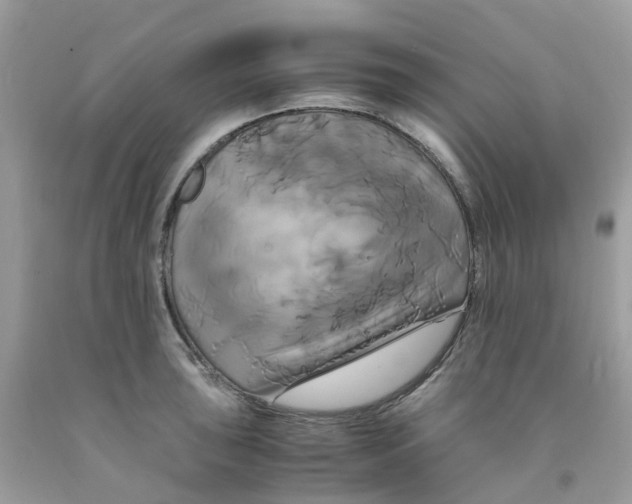 X0000091541043200709141452