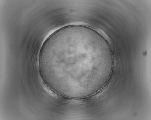 X0000091541044200709141452