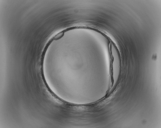 X0000091541045200709141452