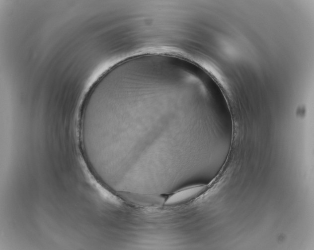 X0000091541046200709141452