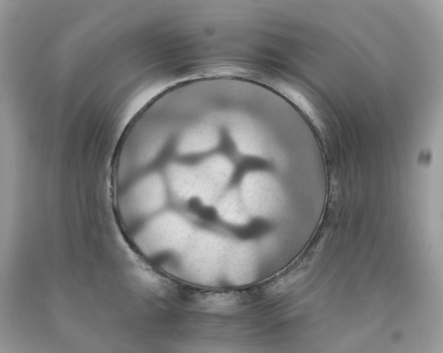 X0000091541047200709141452