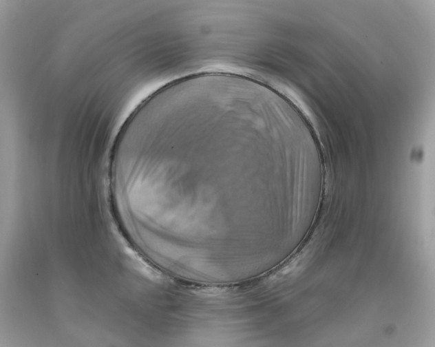 X0000091541048200709141452