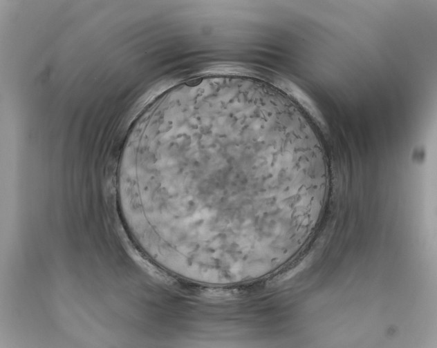 X0000091541049200709141452