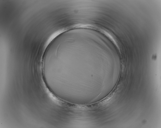 X0000091541050200709141452