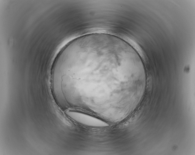 X0000091541051200709141452