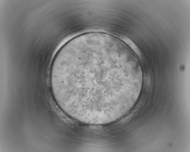 X0000091541052200709141452