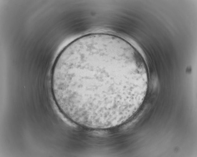 X0000091541053200709141452