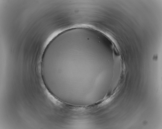 X0000091541054200709141452