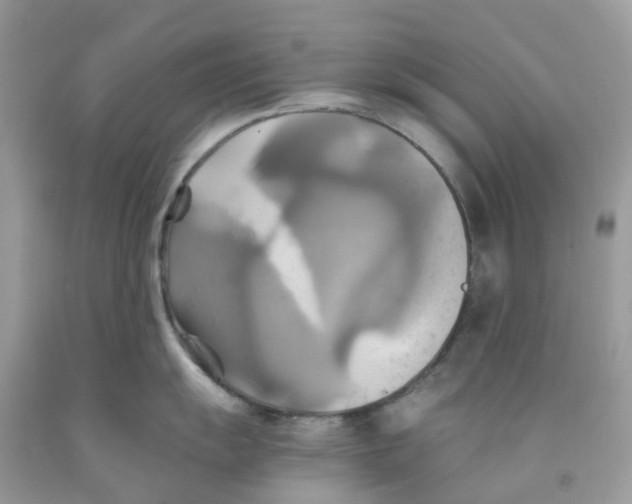 X0000091541055200709141452