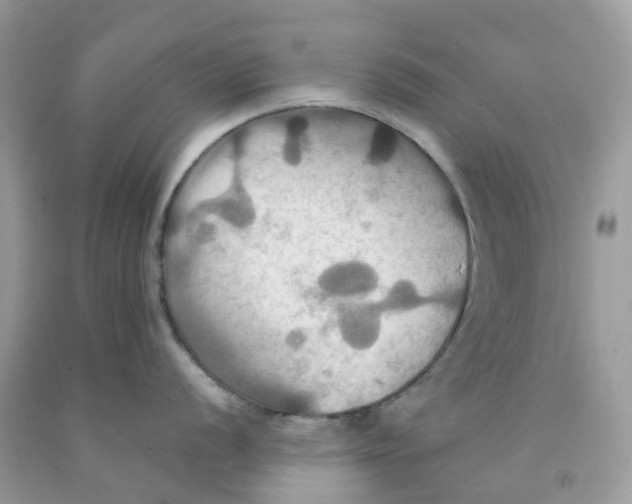 X0000091541056200709141452