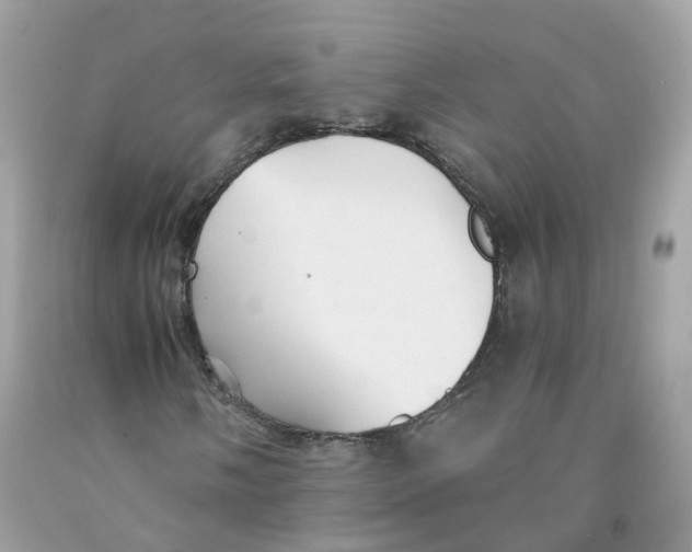 X0000091541058200709141451