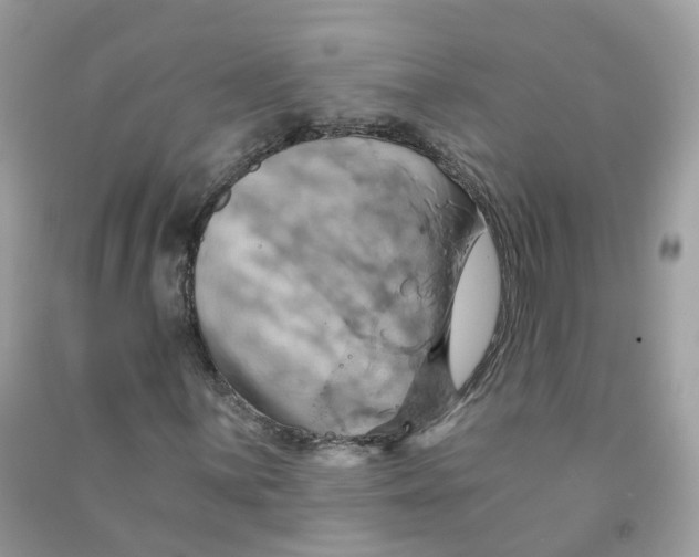 X0000091541059200709141451