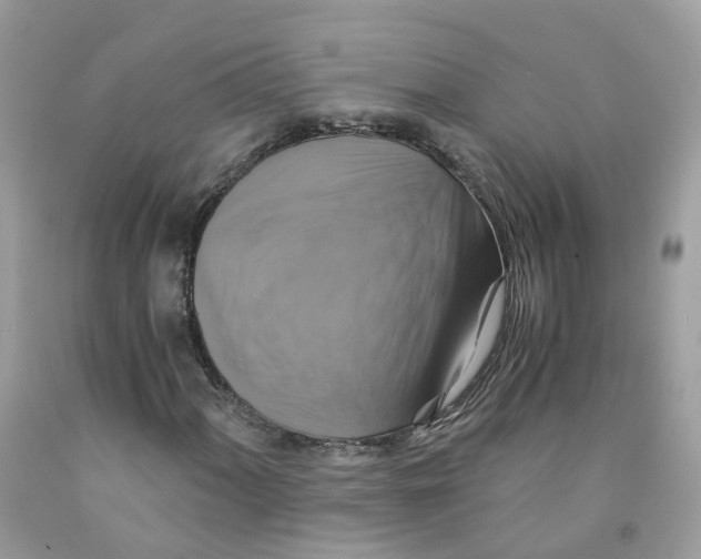 X0000091541060200709141451