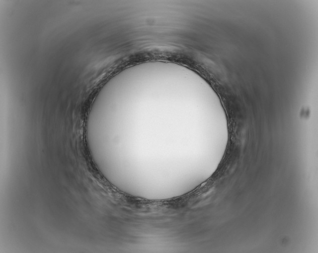 X0000091541061200709141451