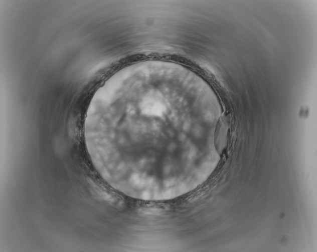 X0000091541063200709141451