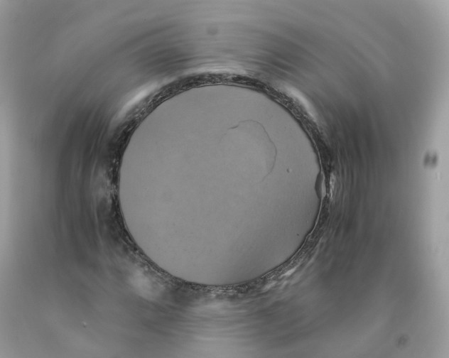 X0000091541064200709141451