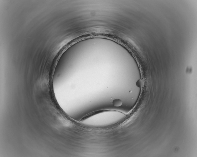 X0000091541065200709141451