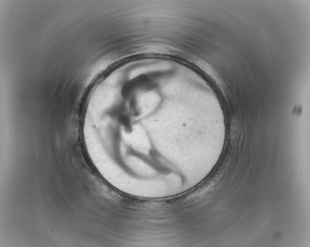 X0000091541067200709141451