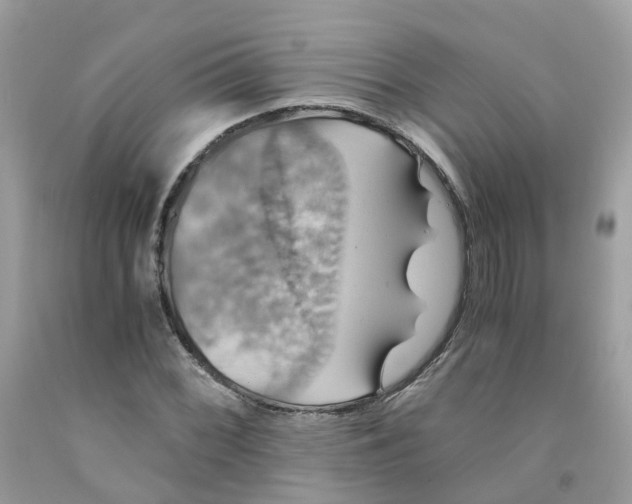 X0000091541068200709141451