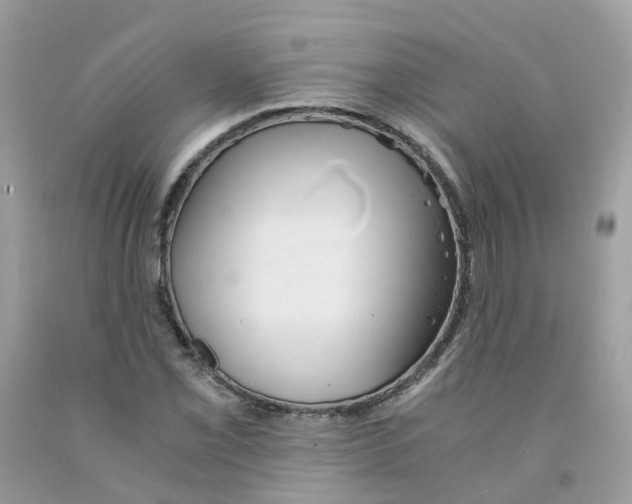 X0000091541069200709141451