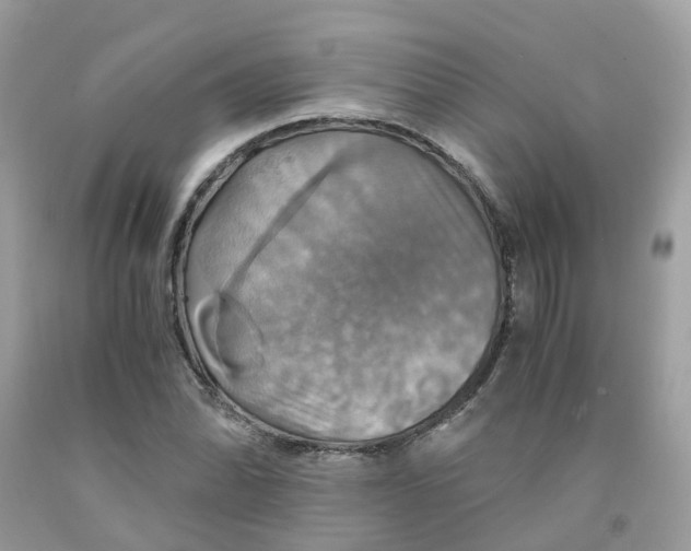 X0000091541070200709141451