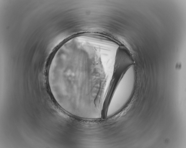 X0000091541071200709141451