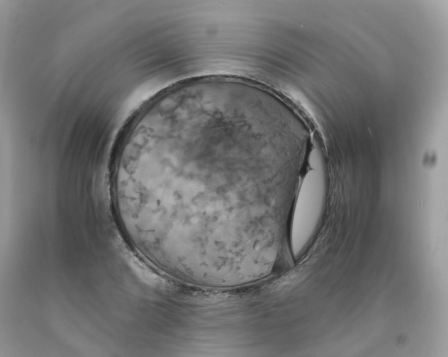 X0000091541072200709141451