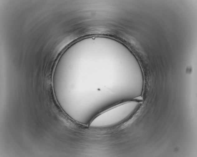 X0000091541073200709141451