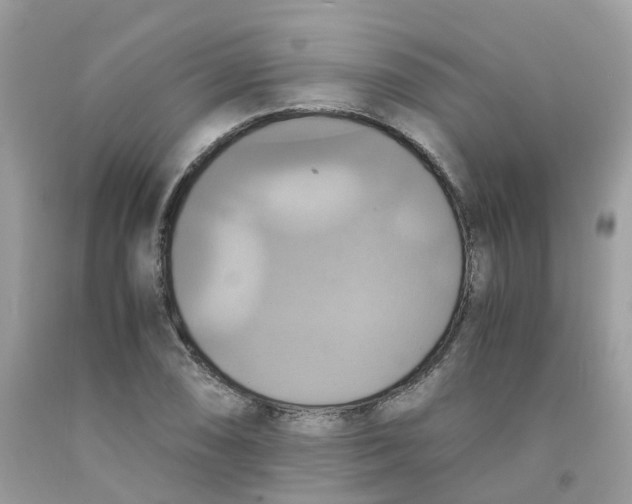 X0000091541074200709141451