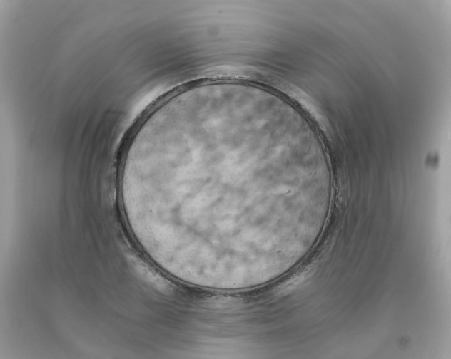 X0000091541075200709141451