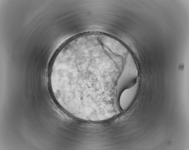 X0000091541076200709141451