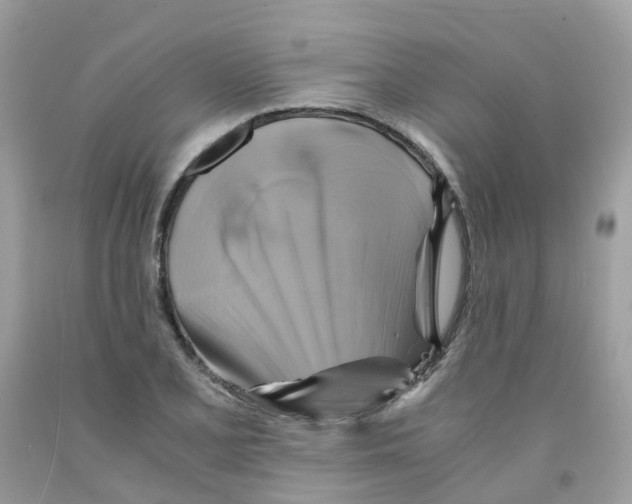 X0000091541077200709141451