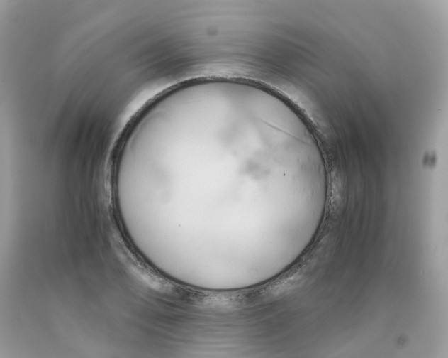 X0000091541078200709141451