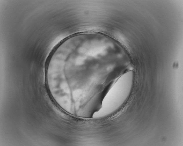 X0000091541079200709141451