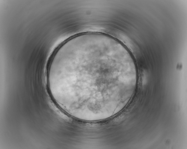 X0000091541080200709141451