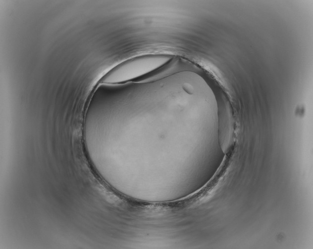 X0000091541081200709141451