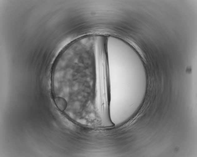 X0000091541083200709141451