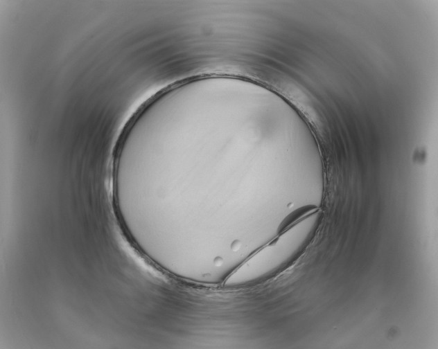 X0000091541084200709141451