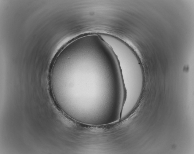 X0000091541085200709141451