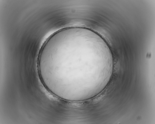 X0000091541086200709141451