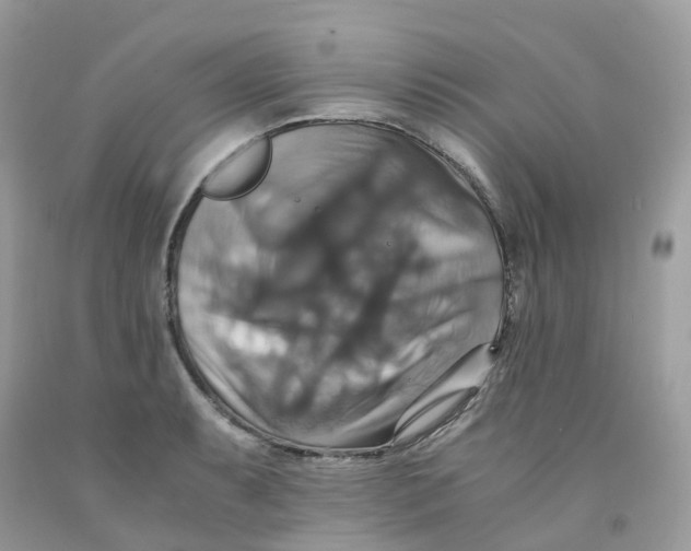 X0000091541087200709141451