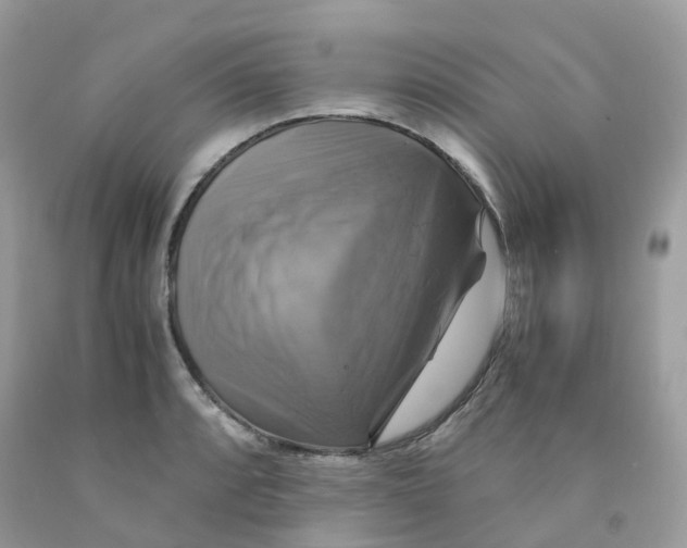 X0000091541088200709141451