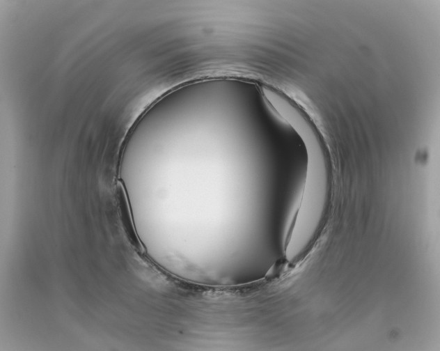 X0000091541089200709141451