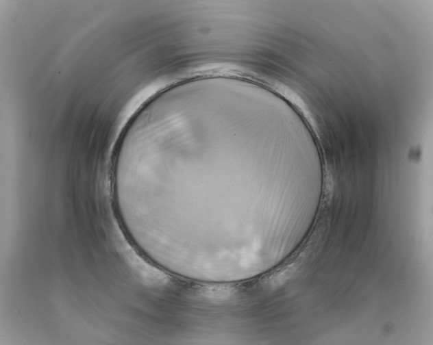 X0000091541090200709141451